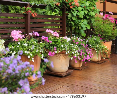 Similar – Image, Stock Photo Spring flowers in pot on table