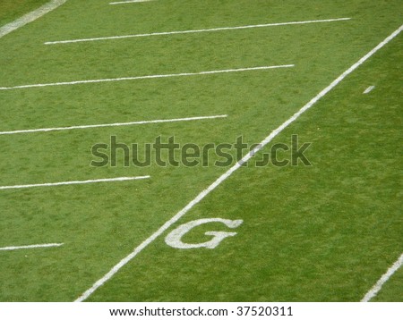 Goal line football field texture