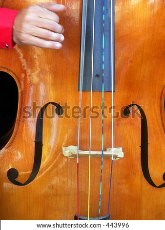 Bass Player Hand