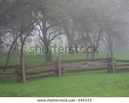 Fog and Country Fence