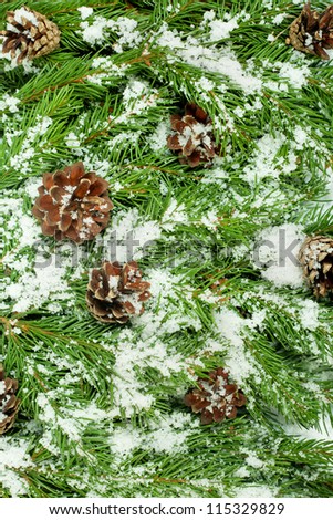 Christmas background with snow, and cones isolated on white