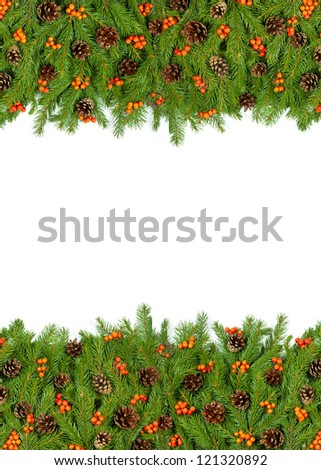 Christmas green  framework with cones and holly berry  isolated on white background