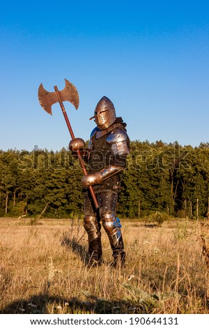 Medieval knight in the field with an axe