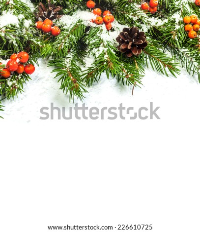 Christmas background with snow, cones and holly berry isolated on white