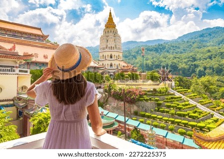 Similar – Image, Stock Photo Woman traveler in straw hat walking