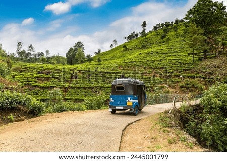 Similar – Image, Stock Photo Tea plantation in Malaysia