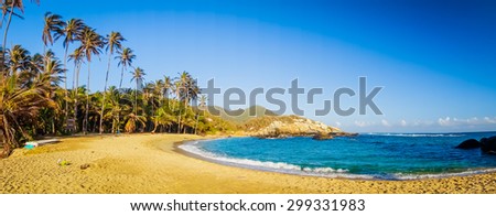 beautiful tropical beach scenery gold sand and mountain in the horizon with palm trees.