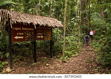 ORELLANA, ECUADOR - AUGUST 12, 2012: Unidentified tourists on a walking tour in the amazon rainforest, Yasuni National Park, Orellana, Ecuador