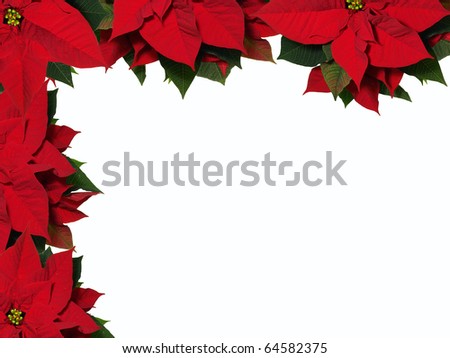 Poinsettia Frame Stock Photo 64582375 : Shutterstock