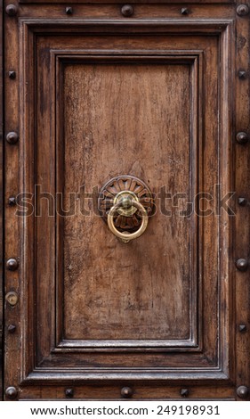 Dark wooden door panel with door knocker.