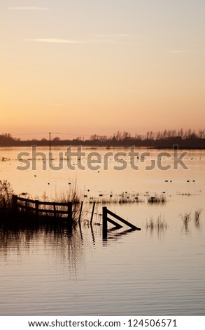 Sunset over flooded wetlands in England with silhouettes, ducks and trees with room for your text