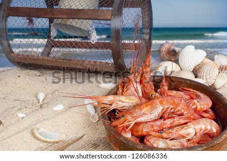 Raw red prawns with a maritime background of sand, seashells, a driftwood board and a crab pot.