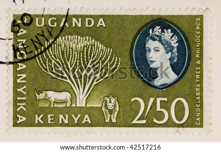 CIRCA 1960: A stamp printed in East Africa from a first day cover of an animal and plant series  showing an image of a candelabra tree (Eucalyptus), circa 1960.