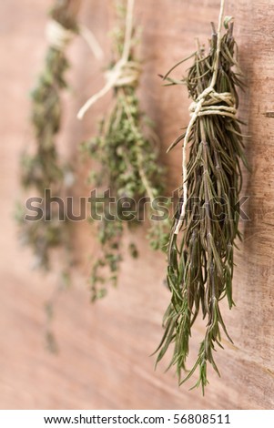 Fresh dried herb bundles of different herbs hanging on the wall