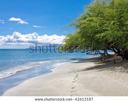 Beautiful ocean beach with tree and clouds