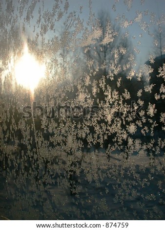 hoar-frosted window
