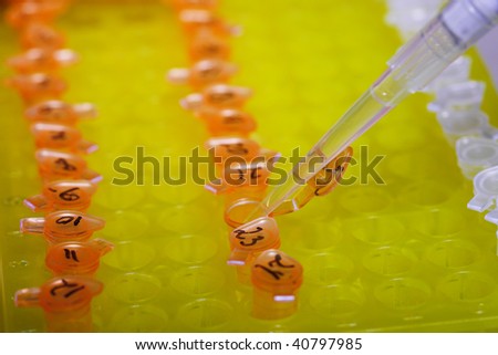 pipette and small plastic tubes