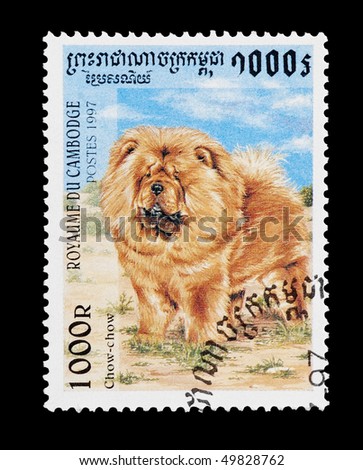 CAMBODIA - CIRCA 1997: mail stamp printed in Cambodia featuring a Chow Chow dog, circa 1997