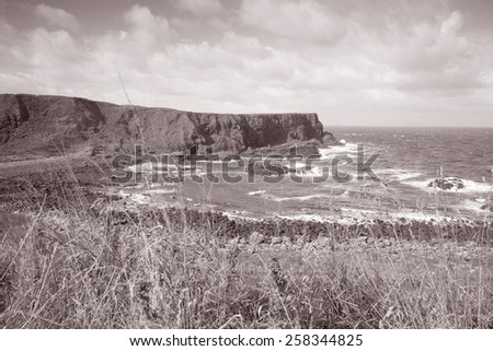 Giants Causeway Coast, County; Antrim; Northern Ireland in Black and White Sepia Tone