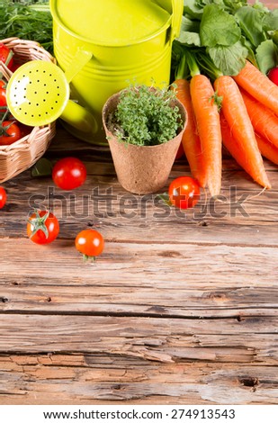 Garden concept, Fresh tomato on wooden table, watering can, seeds, plants