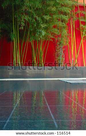 Bamboo reflection