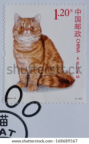CHINA - CIRCA 2013:A stamp printed in China shows image of cats - Chinese Li hua, Maine coon abyssinian and exotic shorthair,circa 2013