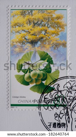 CHINA - CIRCA 2006:A stamp printed in China shows image of China 2006-5 Plant of Relic Species Stamps - Tree,circa 2006