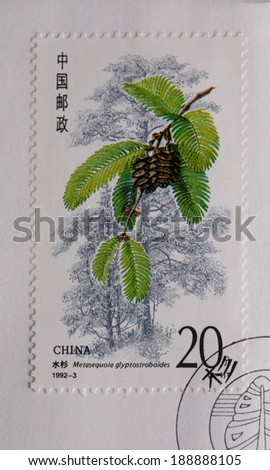 CHINA - CIRCA 1992:A stamp printed in China shows image of China 1992-3 Fir of China Stamp Plant,circa 1992