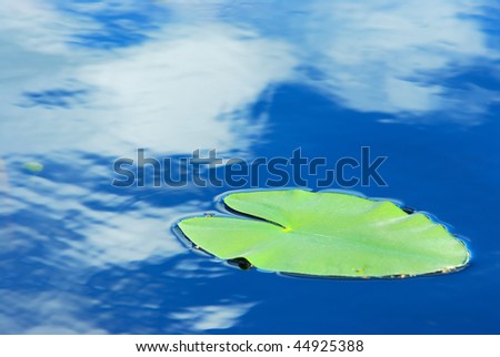 Blue sky and clouds reflected in water.