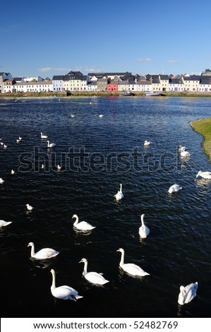 Colourful houses on Ballyknow Quay, Galway, Republic of Ireland
