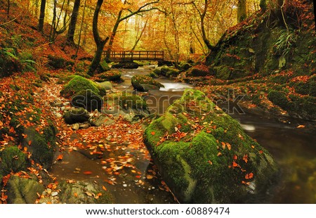 Similar – Foto Bild Herbstlaub im See Blätter