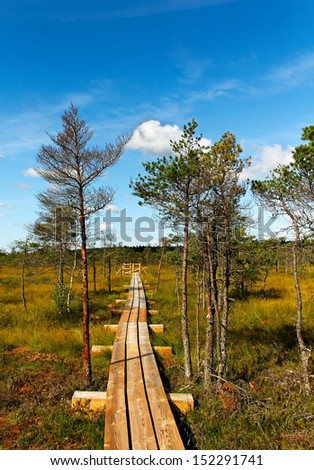 Wooden path in the Kemeri national park.