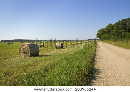 Country landscape with straw bails.