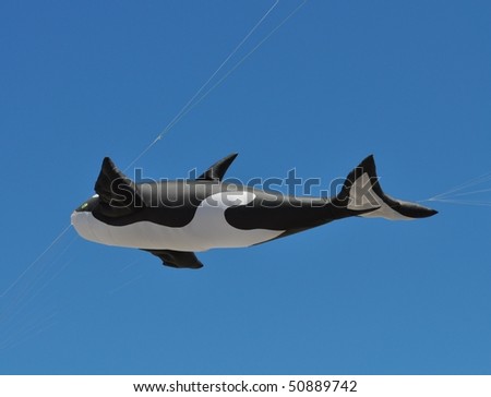 whale kite flying on a blue sky