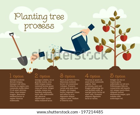 Timeline infographic of planting tree process, business concept flat design