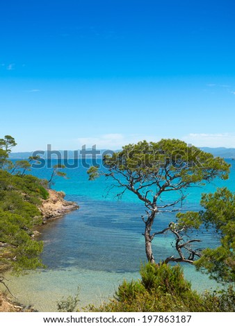 Idyllic beach, paradisiac southern landscape, bay on the island Porquerolles in  France