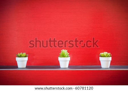 Three little plants in front of modern red wall