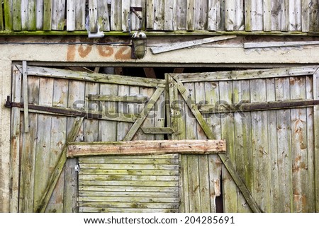 Vintage shed wall from rotten mossy boards background