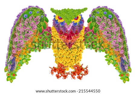 Owl bird made from fresh summer flowers. Abstract isolated collage