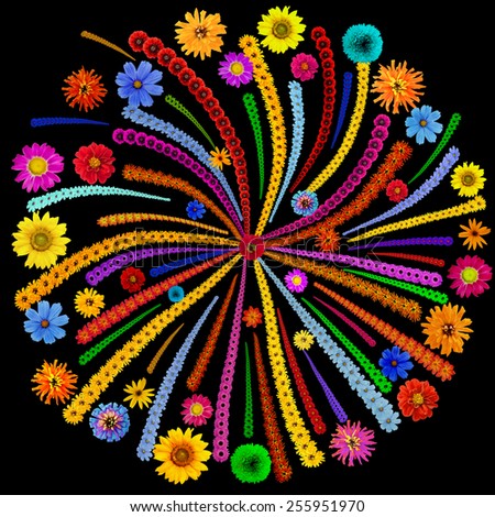 Abstract square  mandala - Fireworks isolated on black - made from vivid  summer flowers. Handmade  naive collage