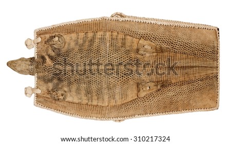 The dried-up lizard leather handmade  amulet of the African desert wild tribes. Isolated. There are fragments of animal pads and  hand