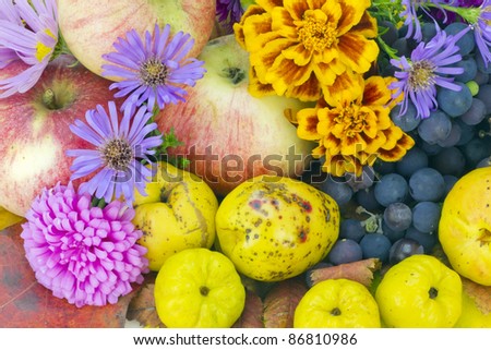 Real colors of autumn - October European plants, fruits and flowers background