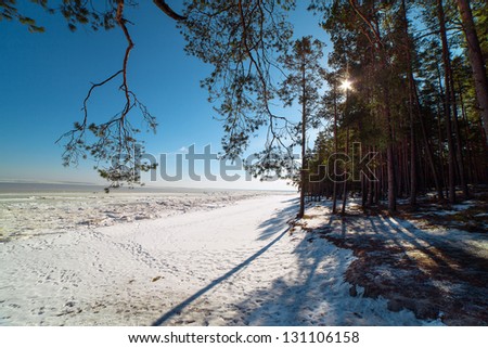 Sunshine at Baltic sea in winter time.