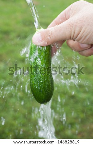 Washing of cucumber in flowing water.
