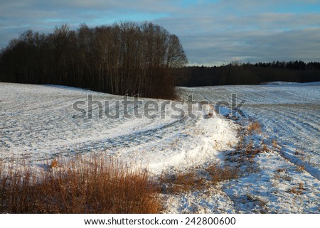 Latvian landscape in nice winter day.
