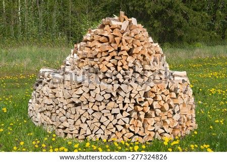 Stack of firewood on green meadow.