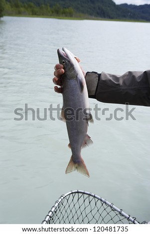 Male hand holding fresh catch of the day over net with river in background