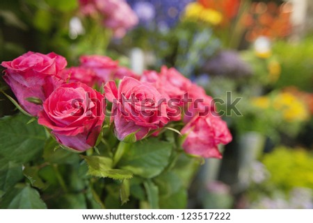 Bunch of fresh roses at flower shop