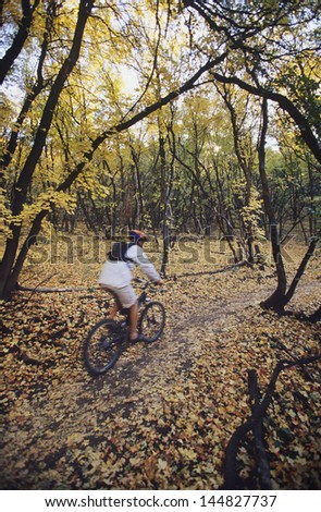 Rear view of biker riding on forest trail in autumn
