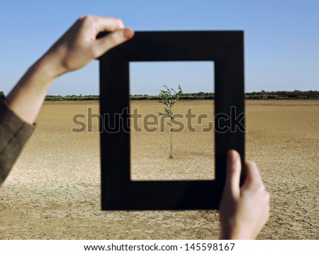 Closeup of woman\'s hands framing plant in desert
